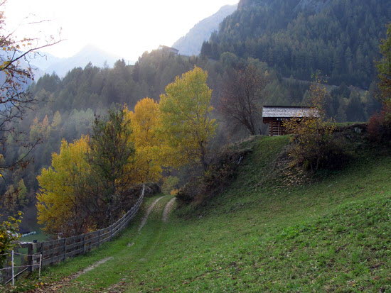 Virgental Herbst 02 Virgental Herbst 02