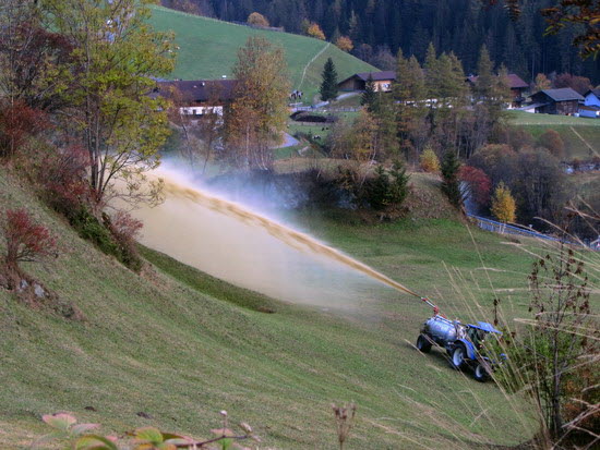 Virgental Herbst 04 Virgental Herbst 04