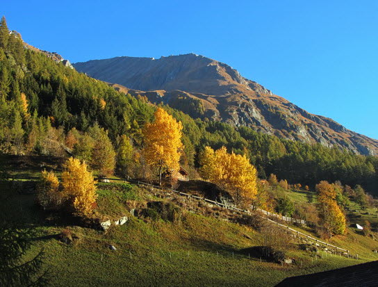 Virgental Herbst 06 Virgental Herbst 06