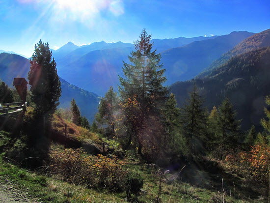 Virgental Herbst 08 Virgental Herbst 08