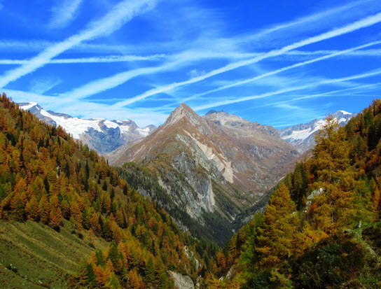 Virgental Herbst 09 Virgental Herbst 09