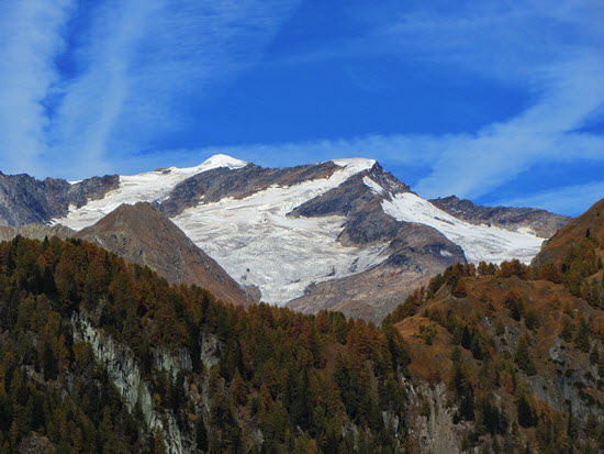 Virgental Herbst 10 Virgental Herbst 10