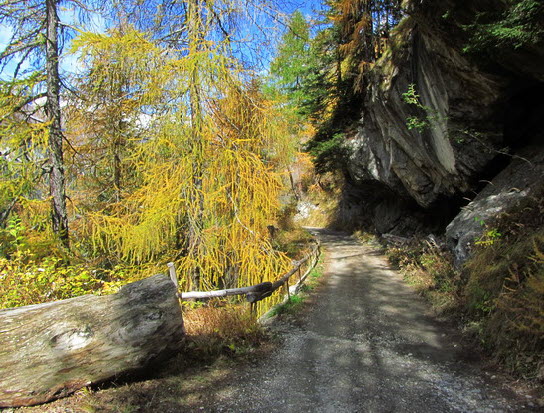 Virgental Herbst 11 Virgental Herbst 11