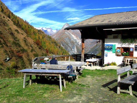 Virgental Herbst 12 Virgental Herbst 12