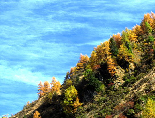 Virgental Herbst 13 Virgental Herbst 13