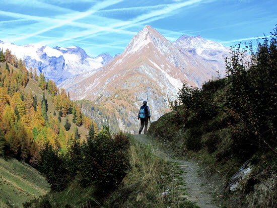 Virgental Herbst 14 Virgental Herbst 14