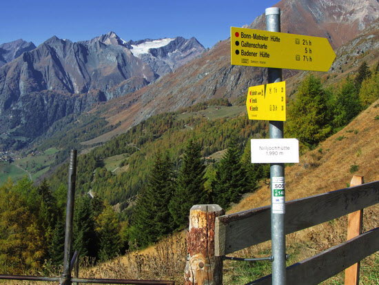 Virgental Herbst 15 Virgental Herbst 15
