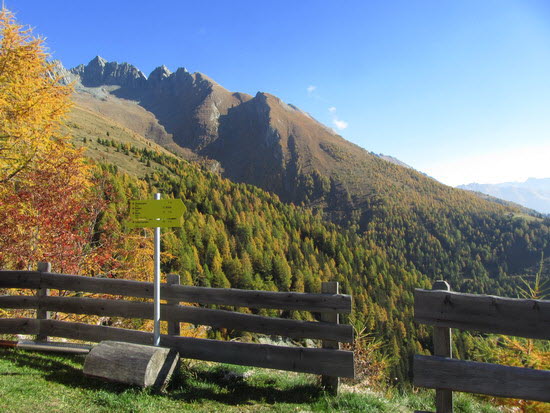 Virgental Herbst 22 Virgental Herbst 22