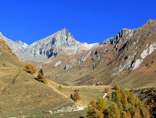 Virgental Herbst 23 Virgental Herbst 23