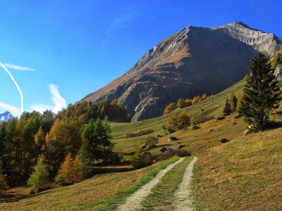 Virgental Herbst 29 Virgental Herbst 29