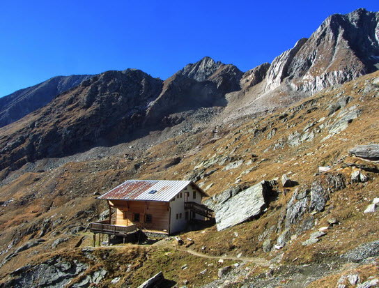 Virgental Herbst 35 Virgental Herbst 35