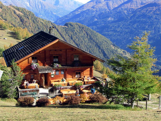 Virgental Herbst 40 Virgental Herbst 40