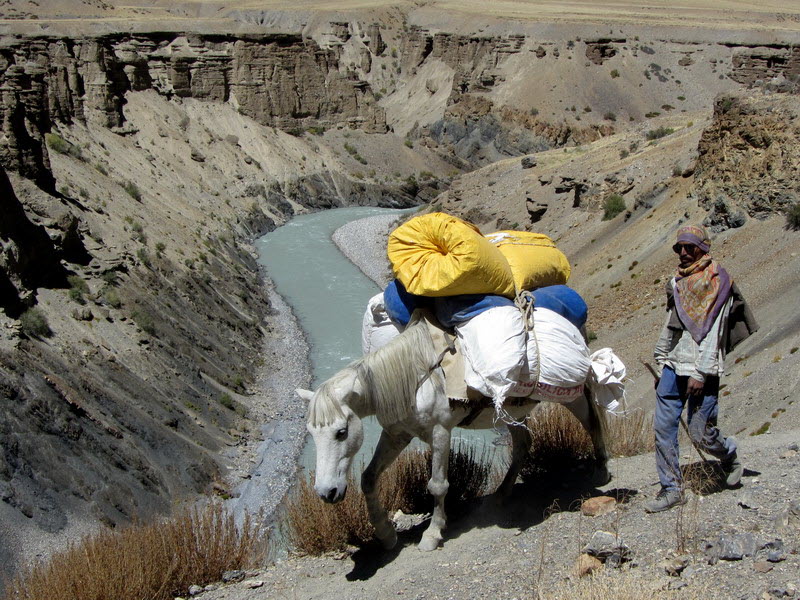 Tsarap River 511