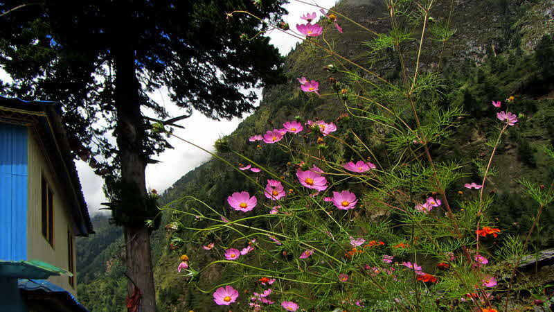 Manaslu Blumen Conservation Area - 09