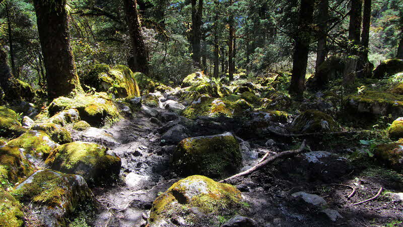 Manaslu Blumen Conservation Area - 57