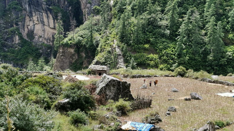Manaslu - Snapshots 11 Manaslu - Snapshots 11