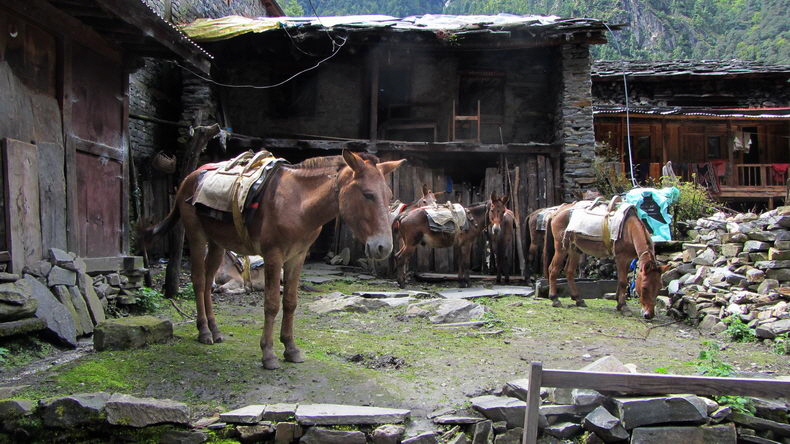 Manaslu - Snapshots 18 Manaslu - Snapshots 18